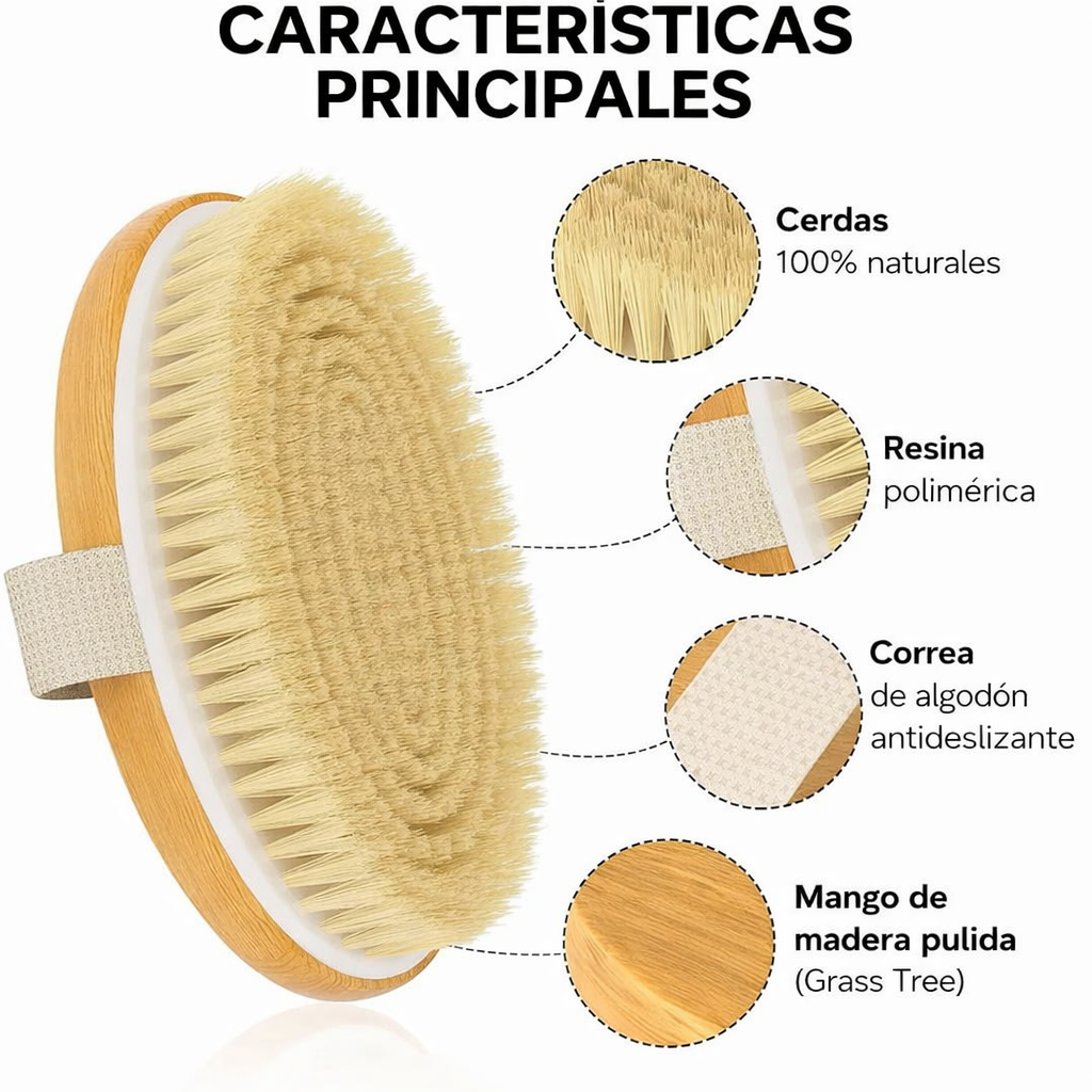 Cepillo Masajeador Anticelulítico
