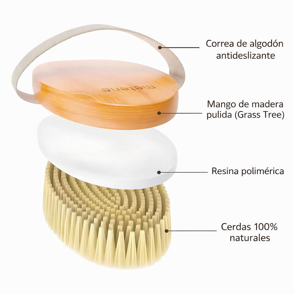 Cepillo Masajeador Anticelulítico