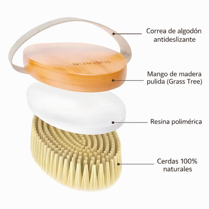 Cepillo Masajeador Anticelulítico